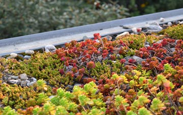 the cost of Tideford green roof installation