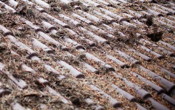 Tideford roof cleaning companies